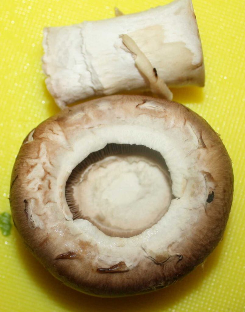 Champignons aushöhlen