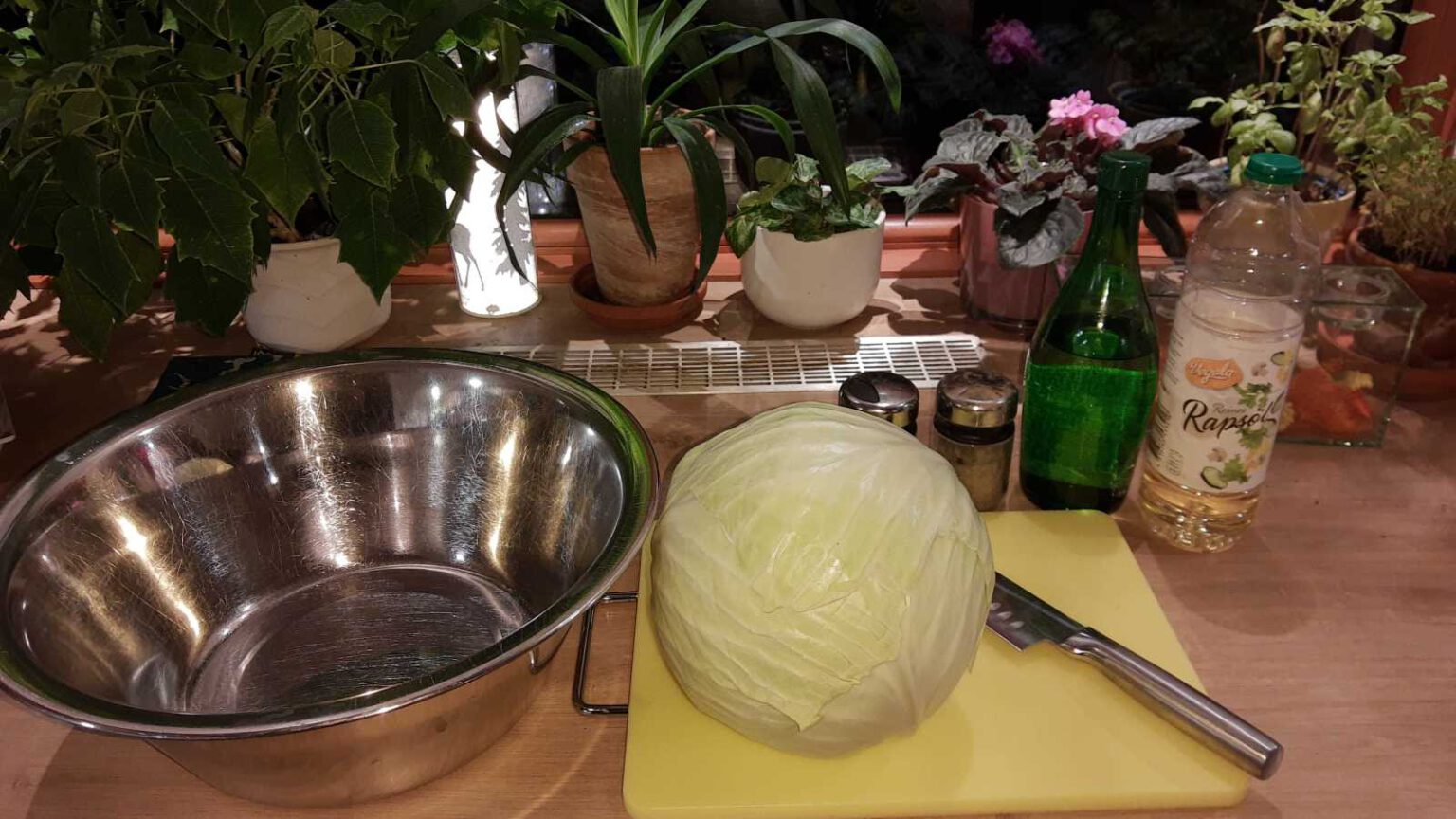 Krautsalat – selbstgemacht – Schlagercity