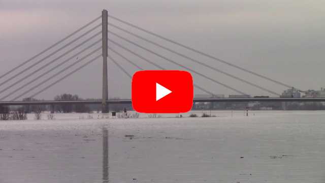 Rhein Hochwasser 2021